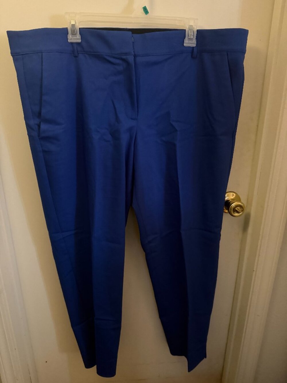 Lane Bryant Royal Blue Pants W 20
